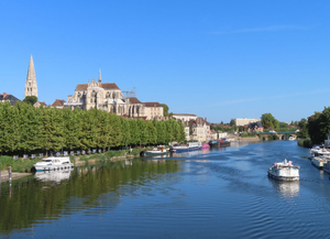 Toiletteur Saint-Étienne